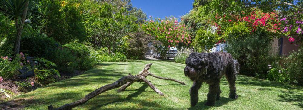 Cornerway House Plettenberg Bay Exterior foto